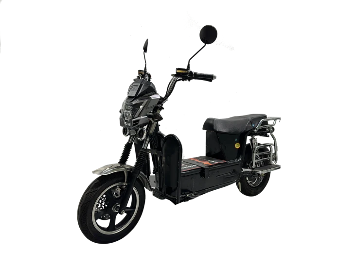 Classic Model Heavy Duty Cargo Electric-Bike